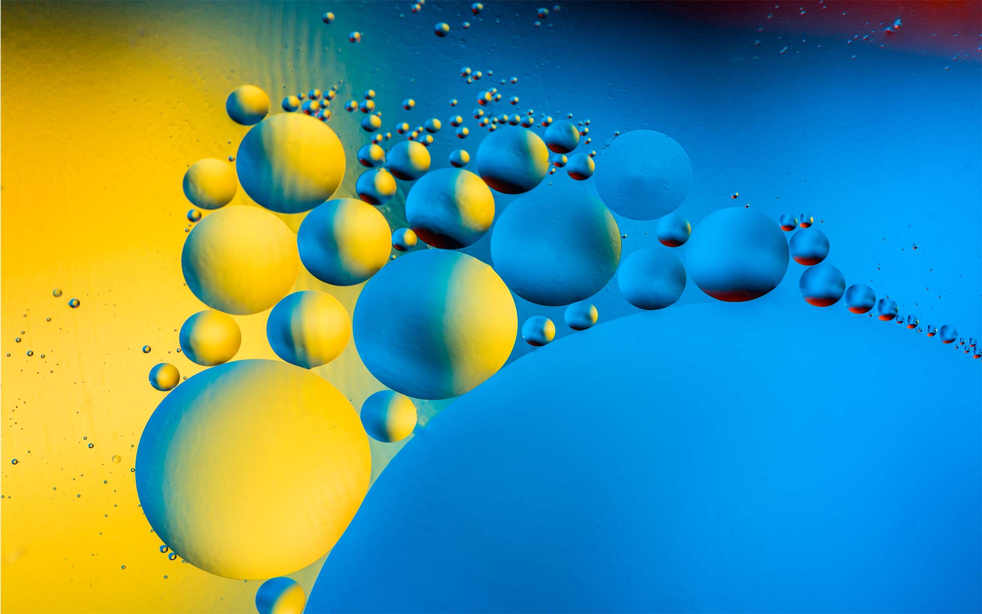 Zabs Holdings Chemicals Pty Ltd